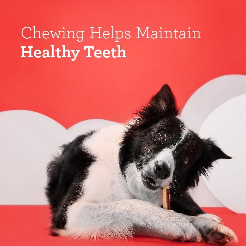 DreamBone DreamSticks Made with Real Chicken, Rawhide-Free Chews for Dogs, 15 Count