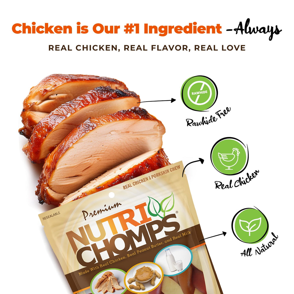 NutriChomps Rawhide-Free Braided Dog Treats, Mixed Flavor, 6", 4 Count