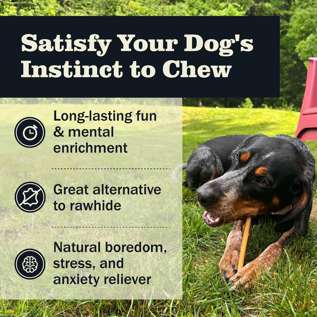 Redbarn All Natural 5-8” Bully Sticks for Small & Large Dogs - Healthy Long Lasting Chews Variety Party Pack - 100% Beef Single Ingredient Low Odor Rawhide Free Dental Treats Made in USA - 8 oz Bag