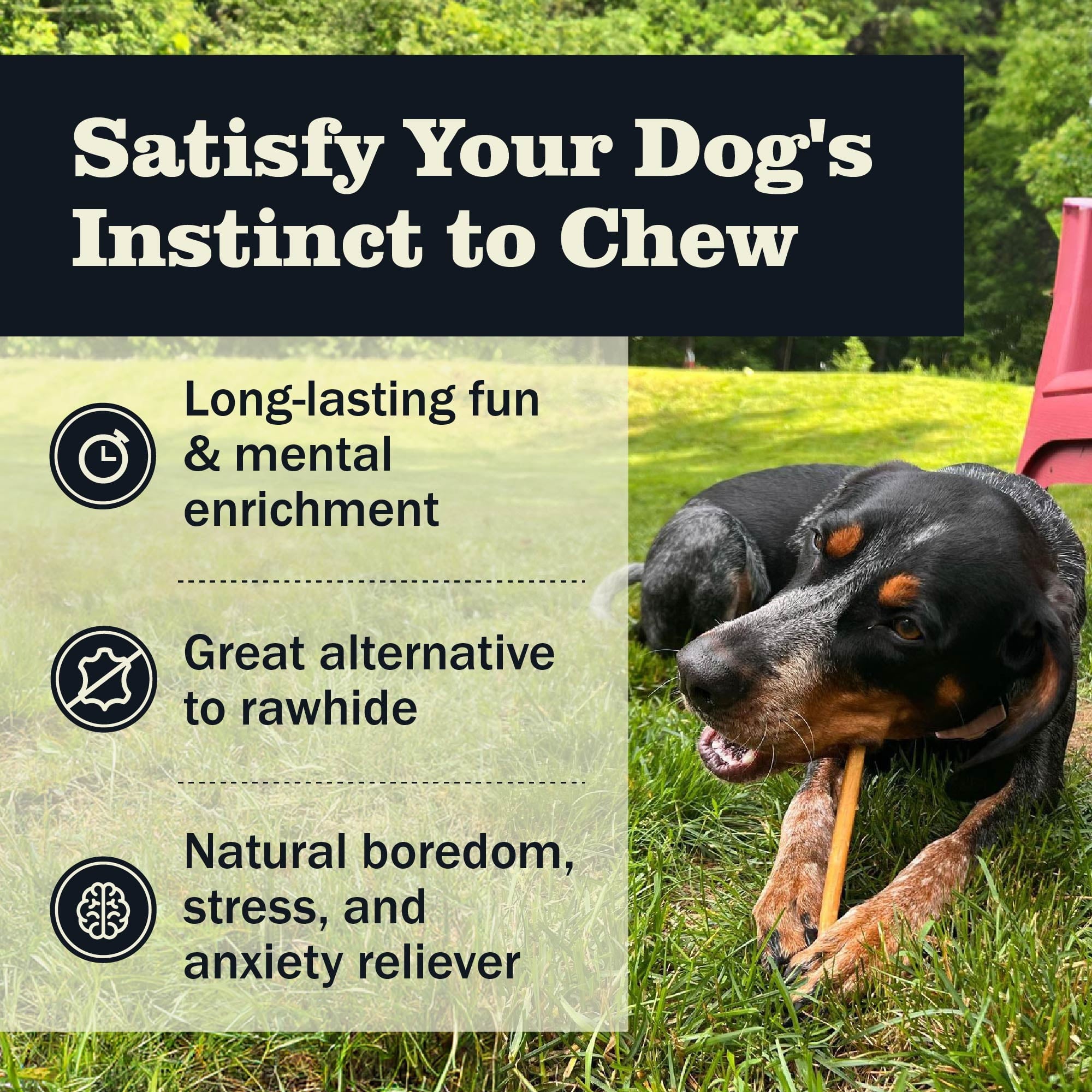 Redbarn All Natural 5-8” Bully Sticks for Small & Large Dogs - Healthy Long Lasting Chews Variety Party Pack - 100% Beef Single Ingredient Low Odor Rawhide Free Dental Treats Made in USA - 8 oz Bag