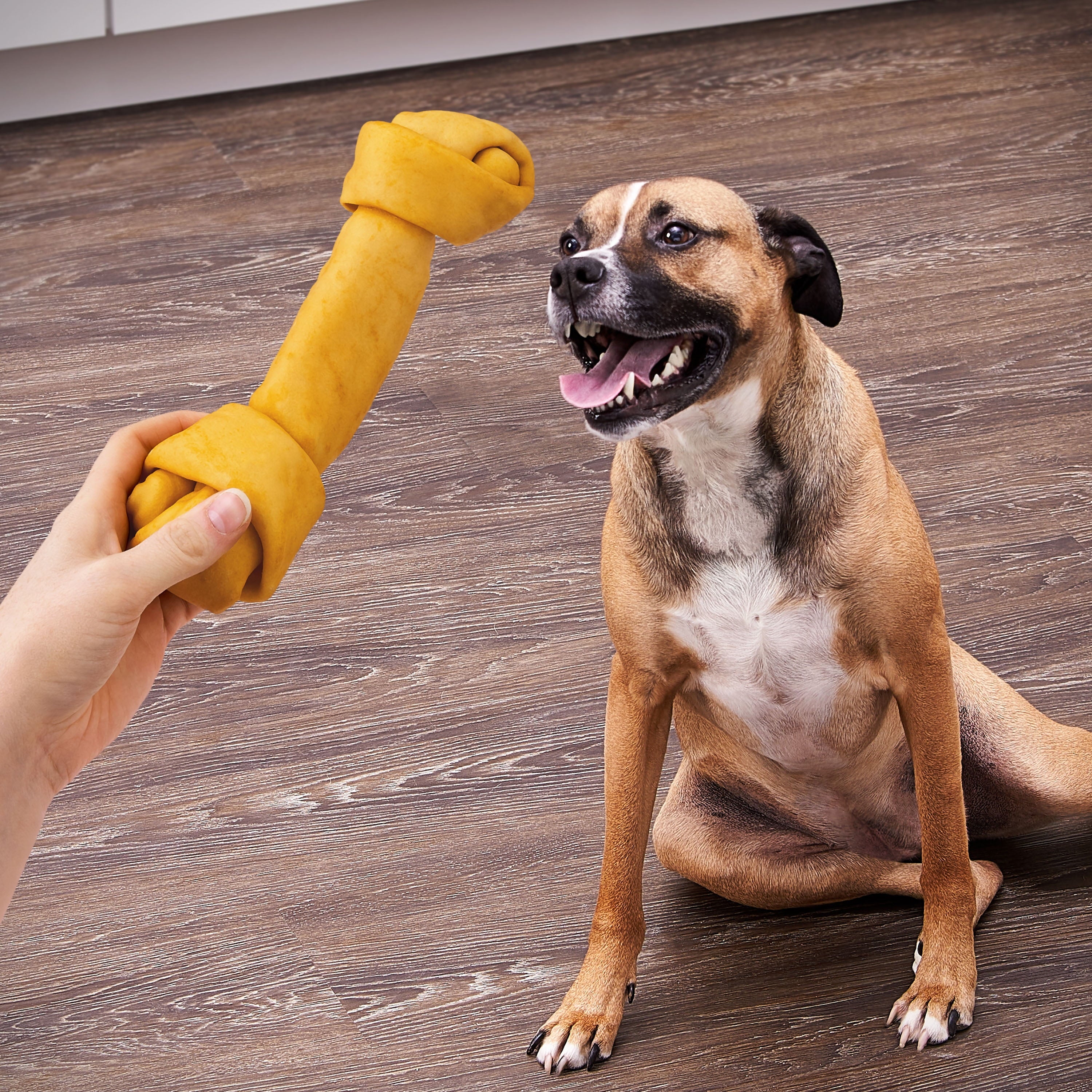 Ol' Roy Rawhide 9" Large Knotted Bones Artificial Chicken Flavored Chews for Dogs, Dry, 16.02 oz, 3 Count