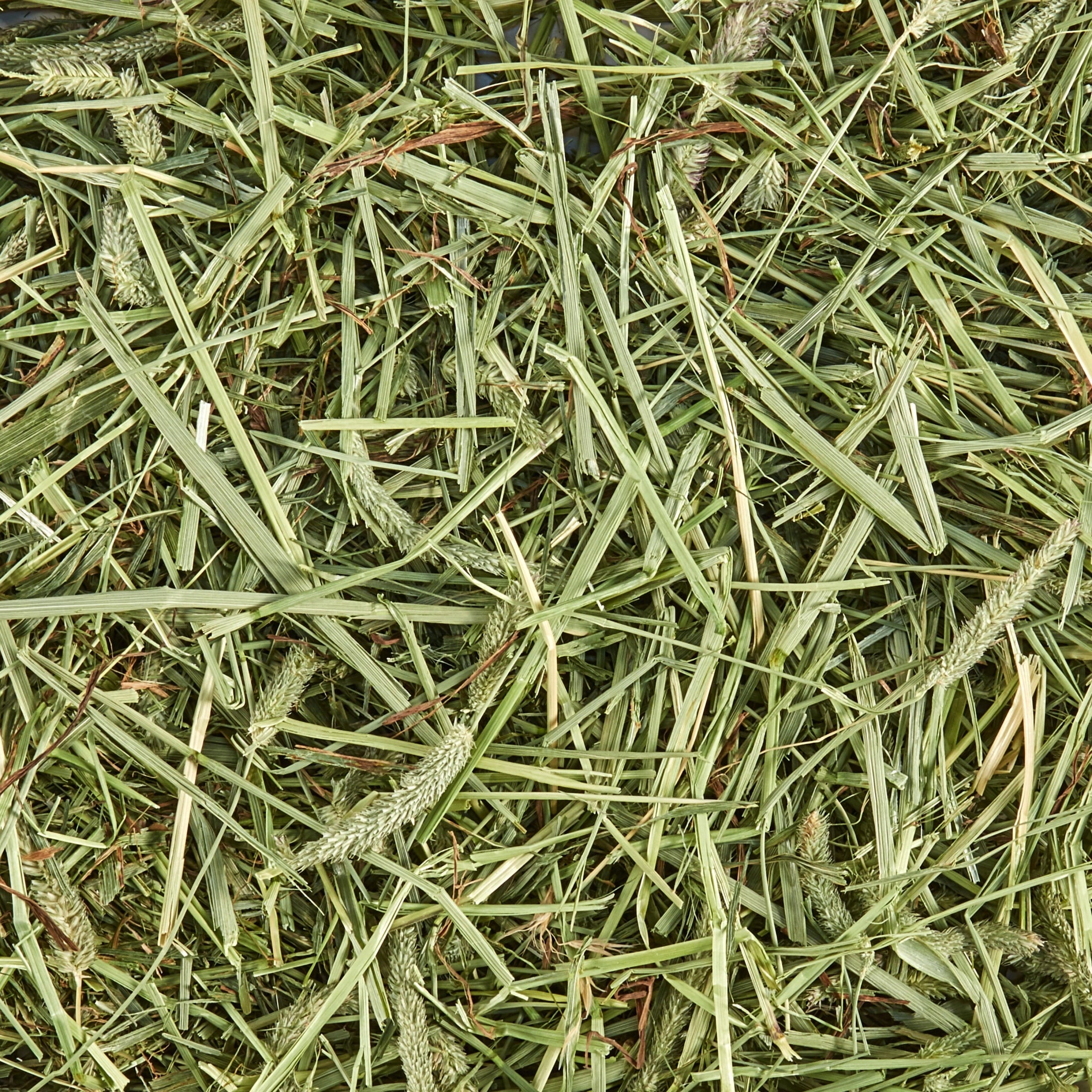 Kaytee Forti-Diet All Natural Timothy Hay , 96 ounce