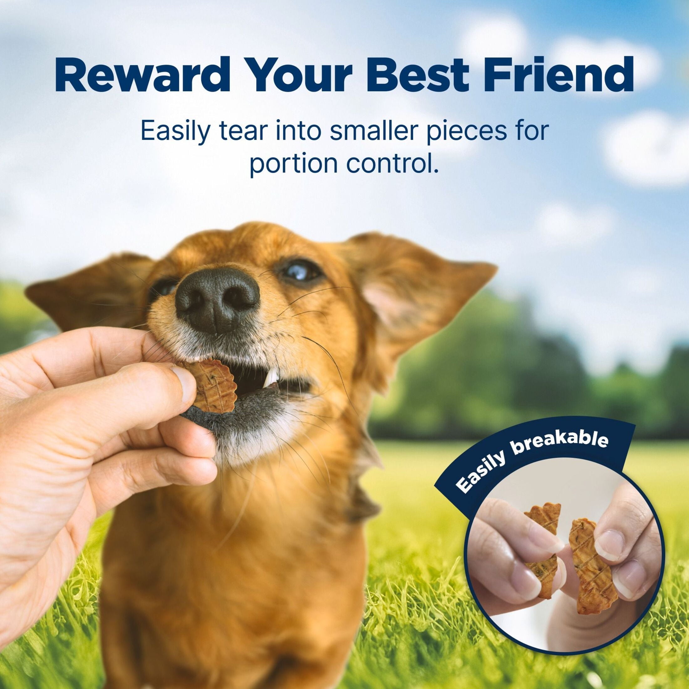 Blue Buffalo Nudges Homestyle Natural Dog Treats Made with Real Chicken, 16-oz. Bag