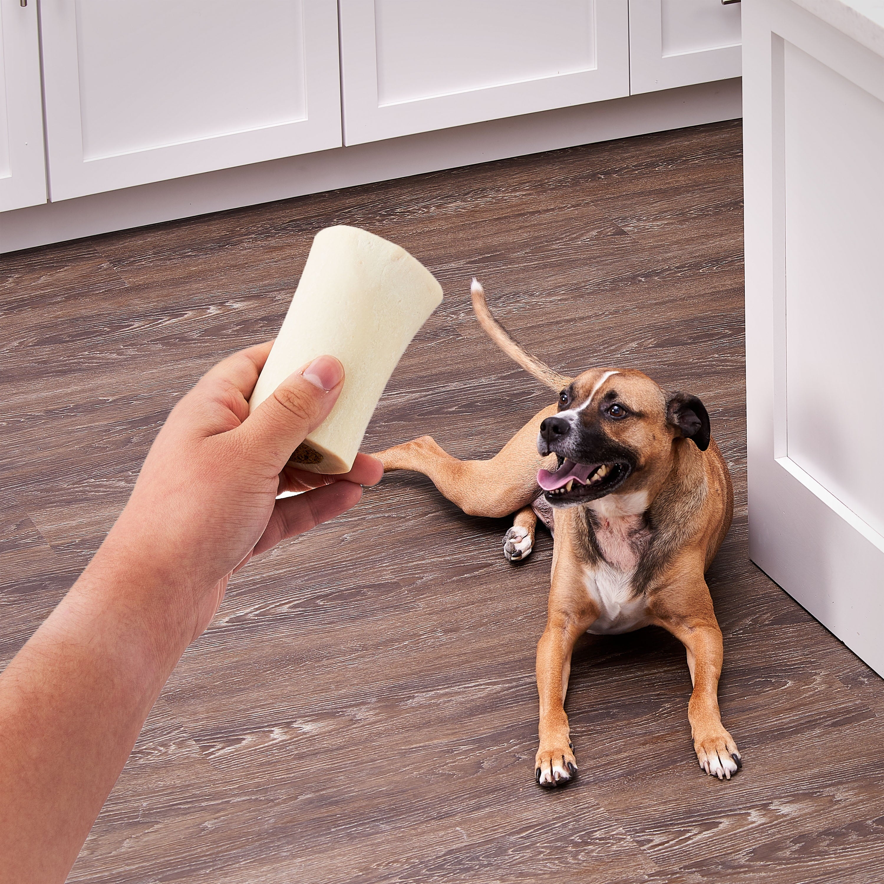 Ol' Roy 3" Filled Bones, Bacon & Cheese Flavor and Peanut Butter Flavor, 10.6 oz, 2 Pack