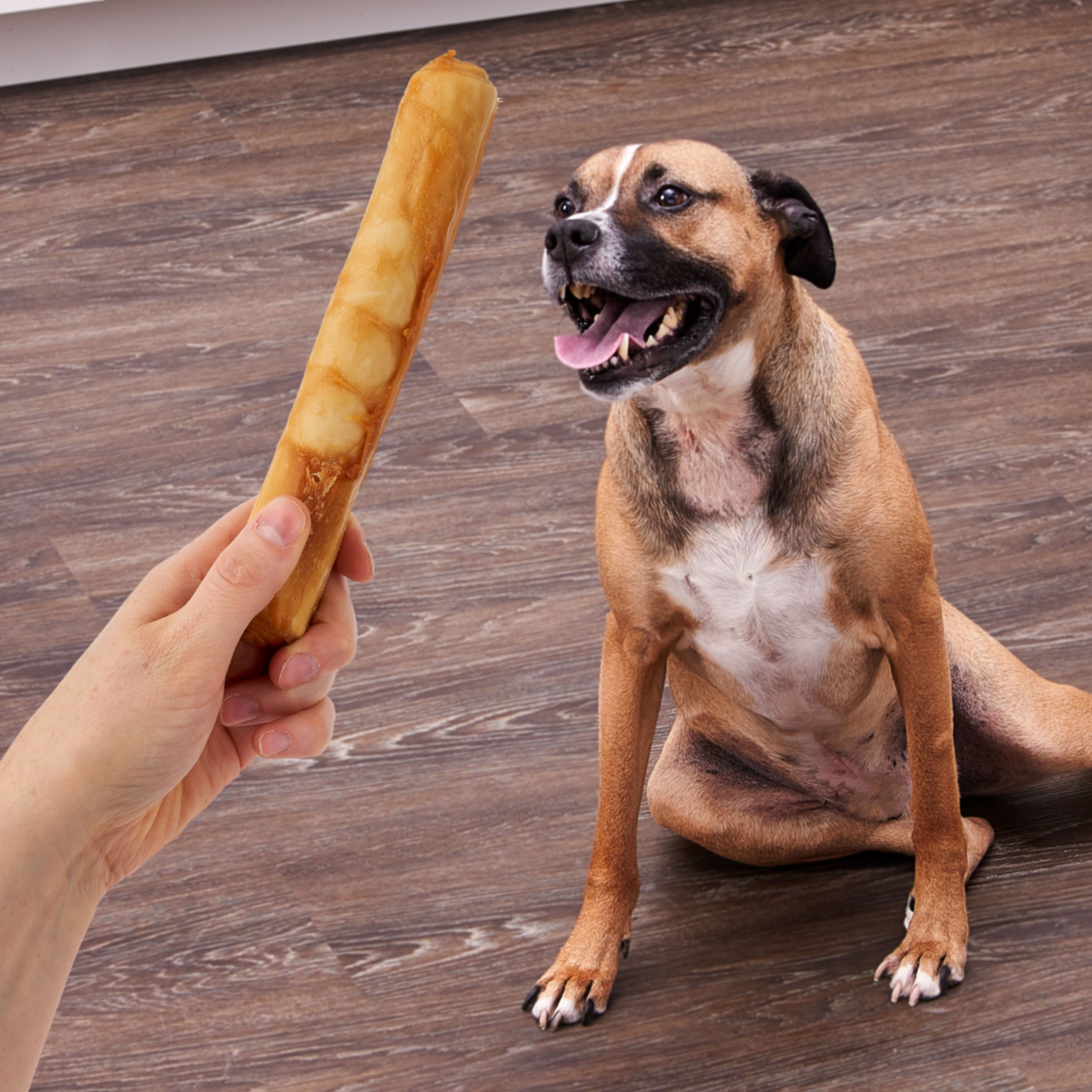 Ol' Roy Rawhide Free Large Retriever Rolls, 7.5 oz, 2 Count