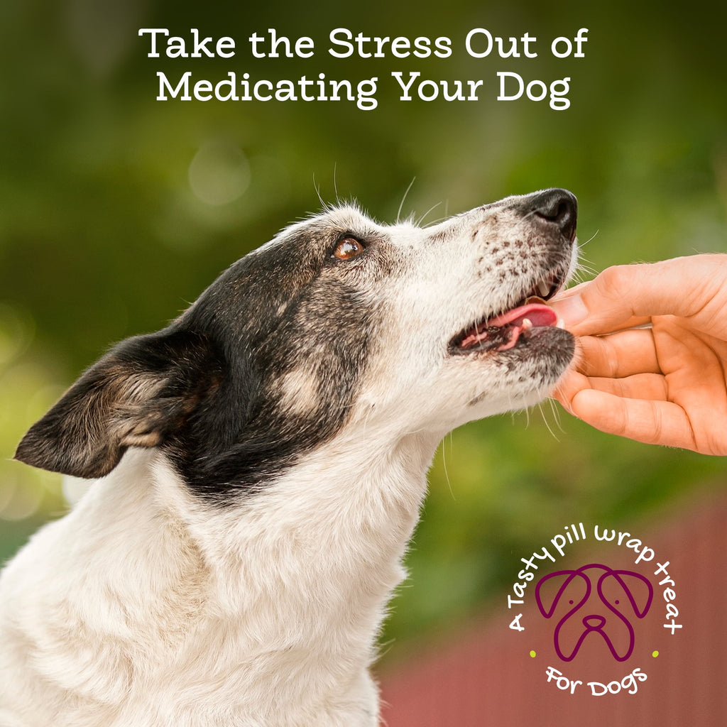 Riley's Pill Wrap for Dogs - Delicious Cheese & Bacon Flavored Pill Paste /Wrap Pills, Capsules, Tablets in a Pocket or Pouch to Mask The Taste & Make Pill Time Easy - 4.2 oz