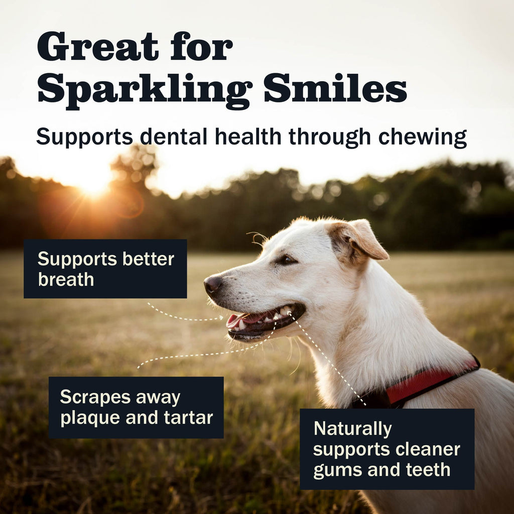 Redbarn All Natural 5-8” Bully Sticks for Small & Large Dogs - Healthy Long Lasting Chews Variety Party Pack - 100% Beef Single Ingredient Low Odor Rawhide Free Dental Treats Made in USA - 8 oz Bag