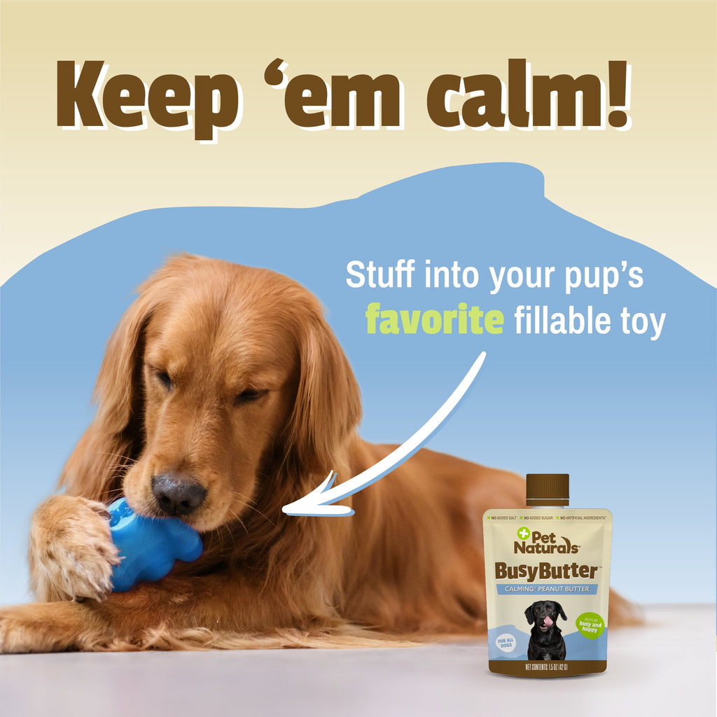 Pet Naturals Busybutter Calming Peanut Butter for Dogs, Stress and Anxiety Support, 1.5oz Pouch