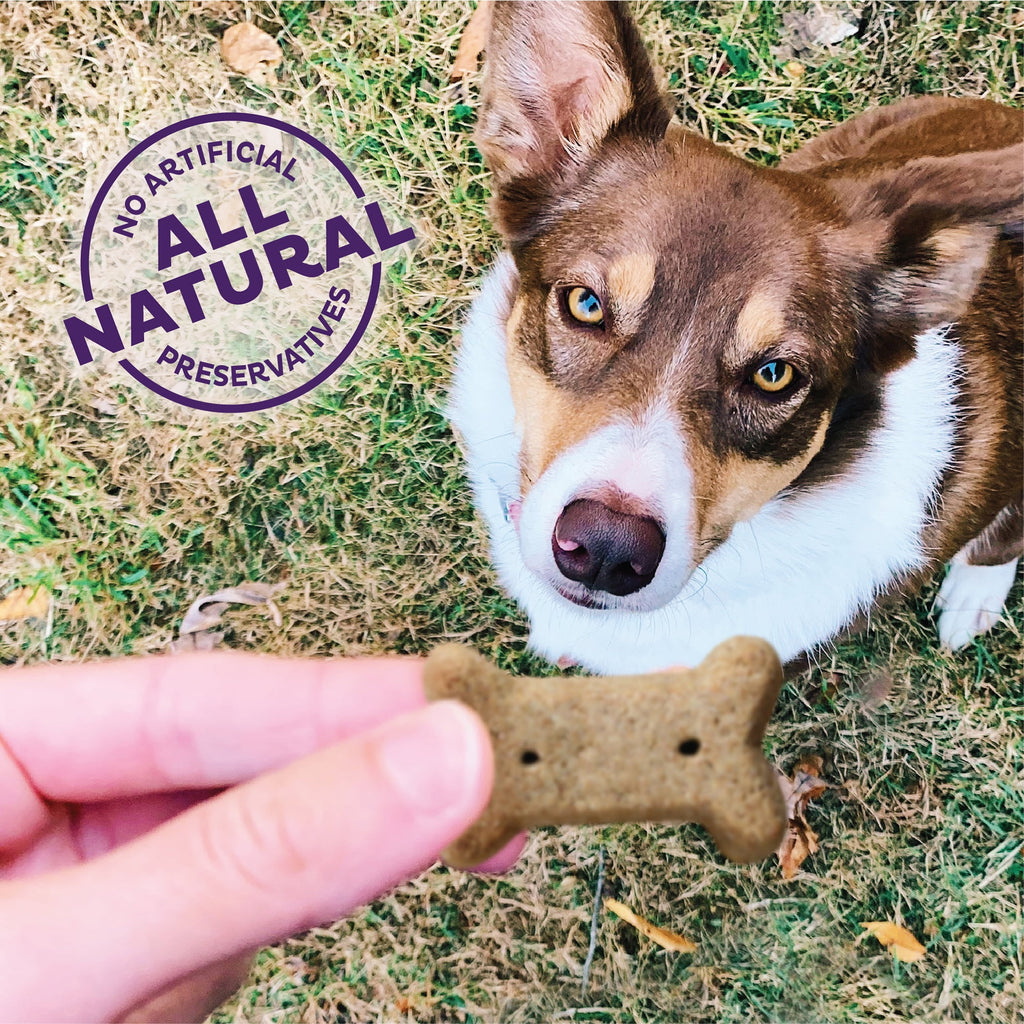 Wellness Old Mother Hubbard Original Mix Dog Biscuits, Natural, Training Treats, Four Flavors, Small Size, (3.8 Pound Bag)