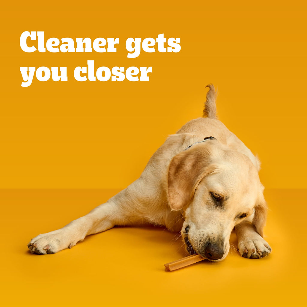 Pedigree Dentastix Original Flavor, Large Breed Dog Treats, 1.66 Lb. Bag