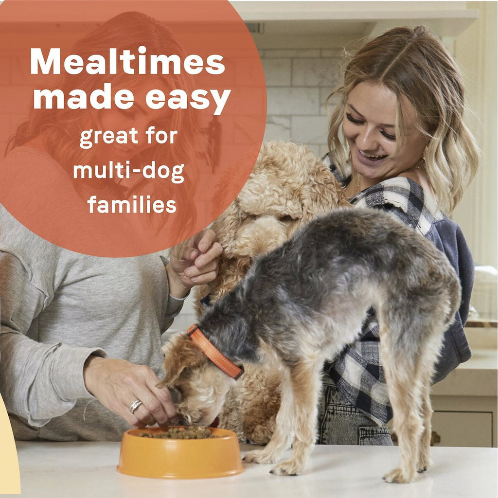 Canidae 103974 5 lbs All Life Stages Multi-Protein Recipe with Meat High Protein Premium Dry Dog Food - 6 Count