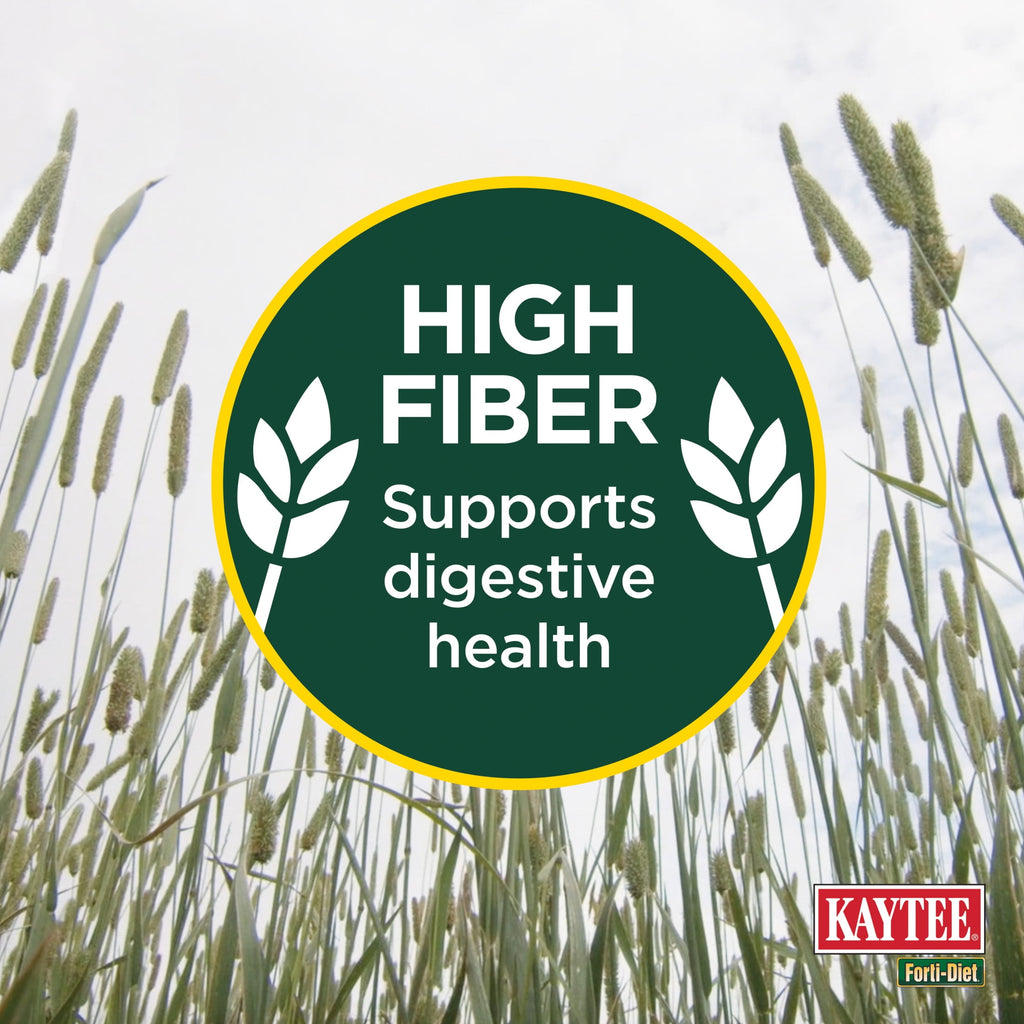 Kaytee Forti-Diet All Natural Timothy Hay , 96 ounce