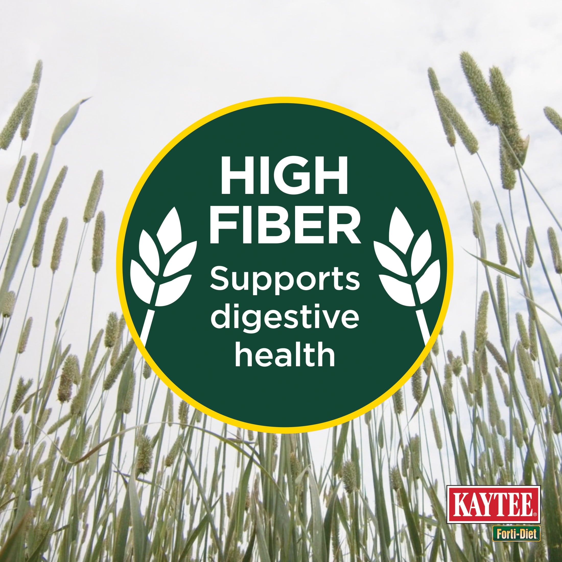 Kaytee Forti-Diet All Natural Timothy Hay , 96 ounce