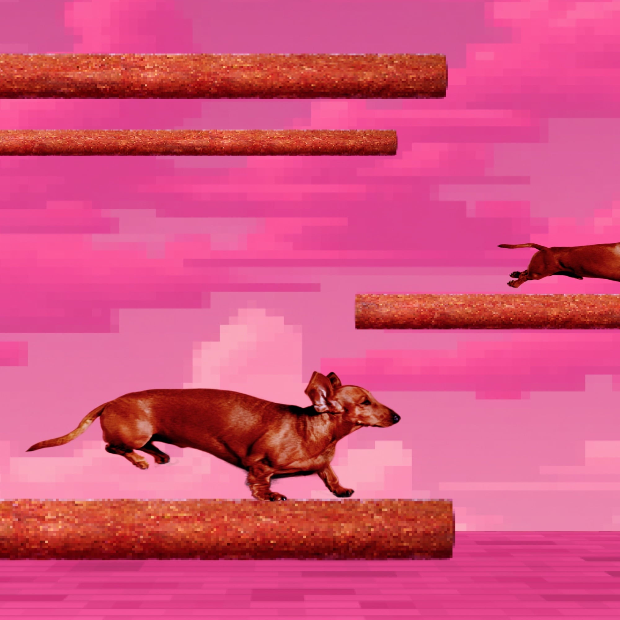 (4 pack) BONKERS Zoomers, BBQ Beef Flavor, Soft & Chewy Dog Snacks, Treats for Dogs, 5.6 oz Bag