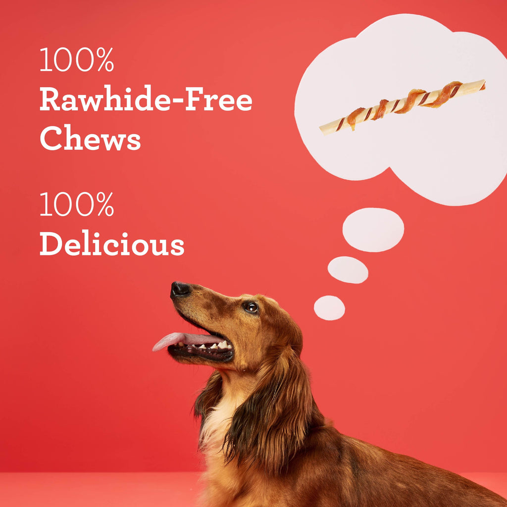 DreamBone Twists Chews Wrapped with Real Chicken, Rawhide-Free Chews for Dogs, 11 Count