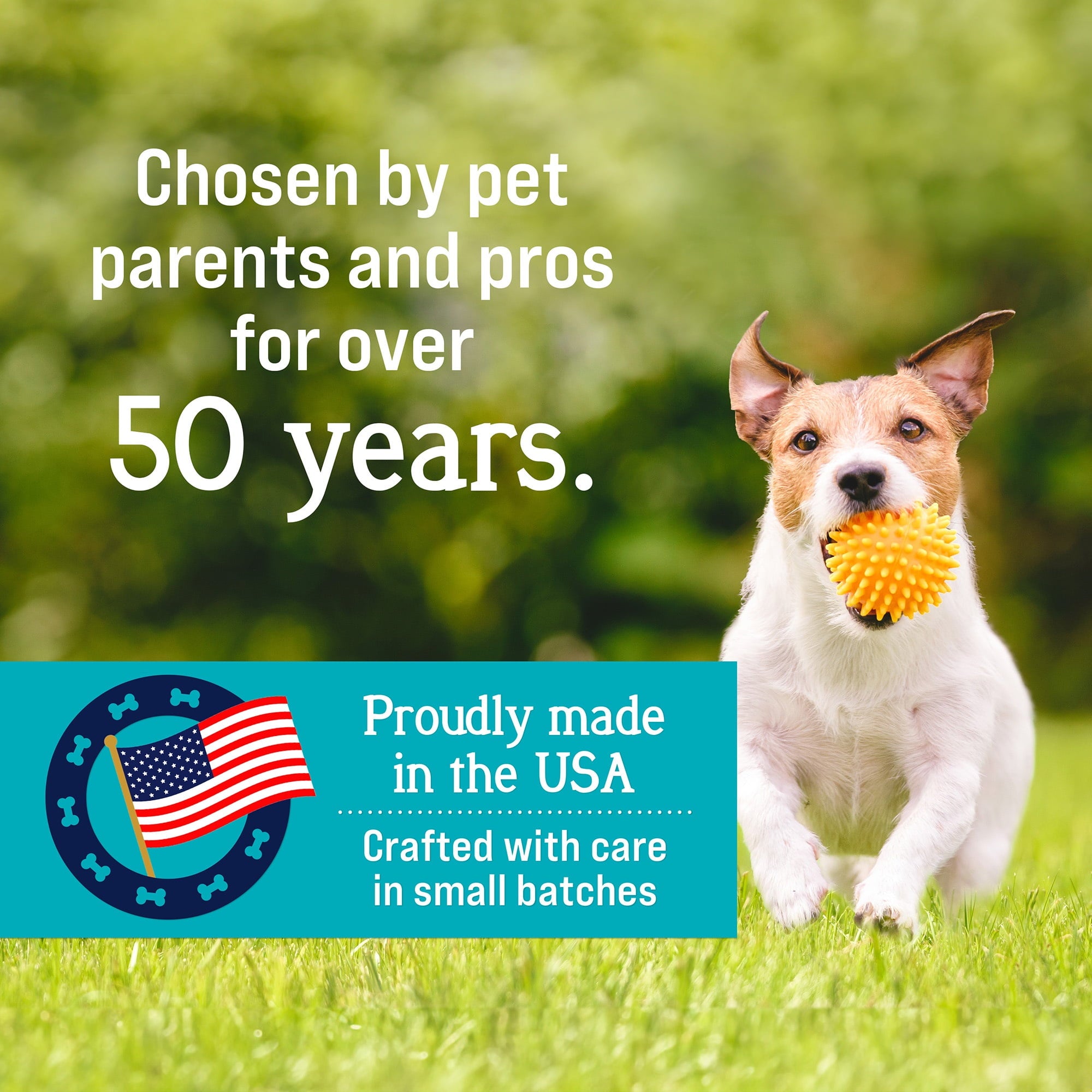 Stewart Freeze Dried Beef Liver - 12 oz Tub