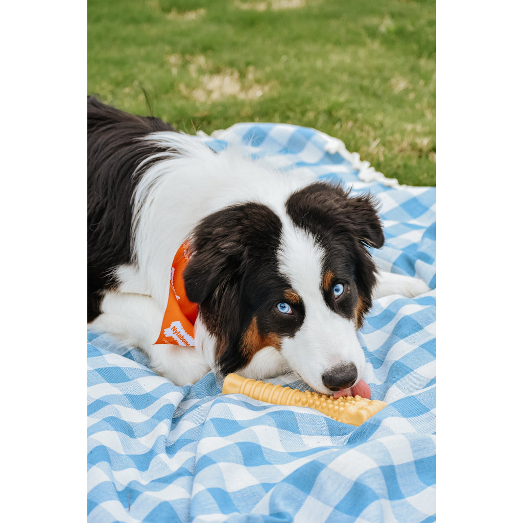 Nylabone Power Chew Textured Knuckle Bone Chew Toy Peanut Butter X-Large (1 Count)