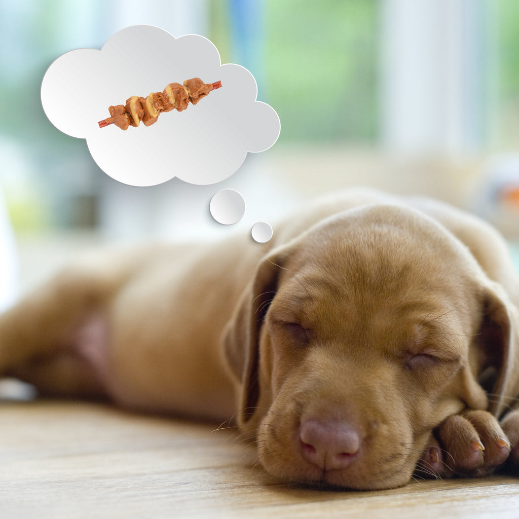 DreamBone Double Protein Chews with Real Chicken and Sirloin, Rawhide-Free Chews for Dogs, 10 Count