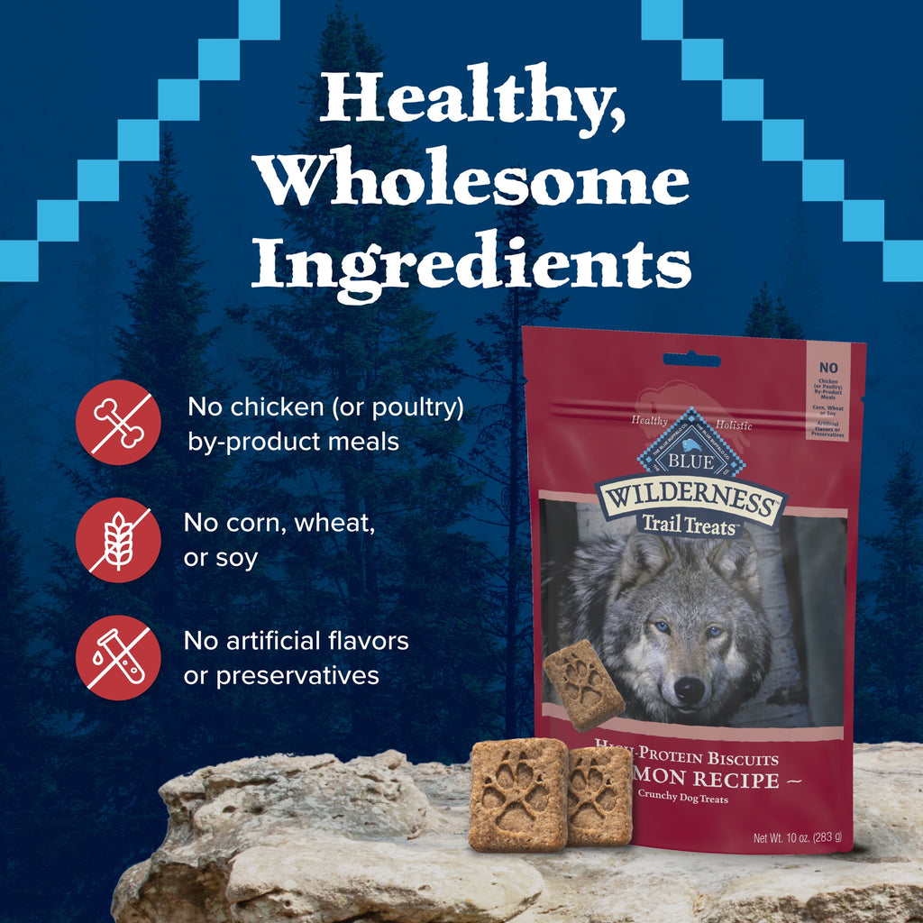 Blue Buffalo Wilderness Trail Treats Dog Biscuits Crunchy Dog Treats, Salmon, 10-oz Bag