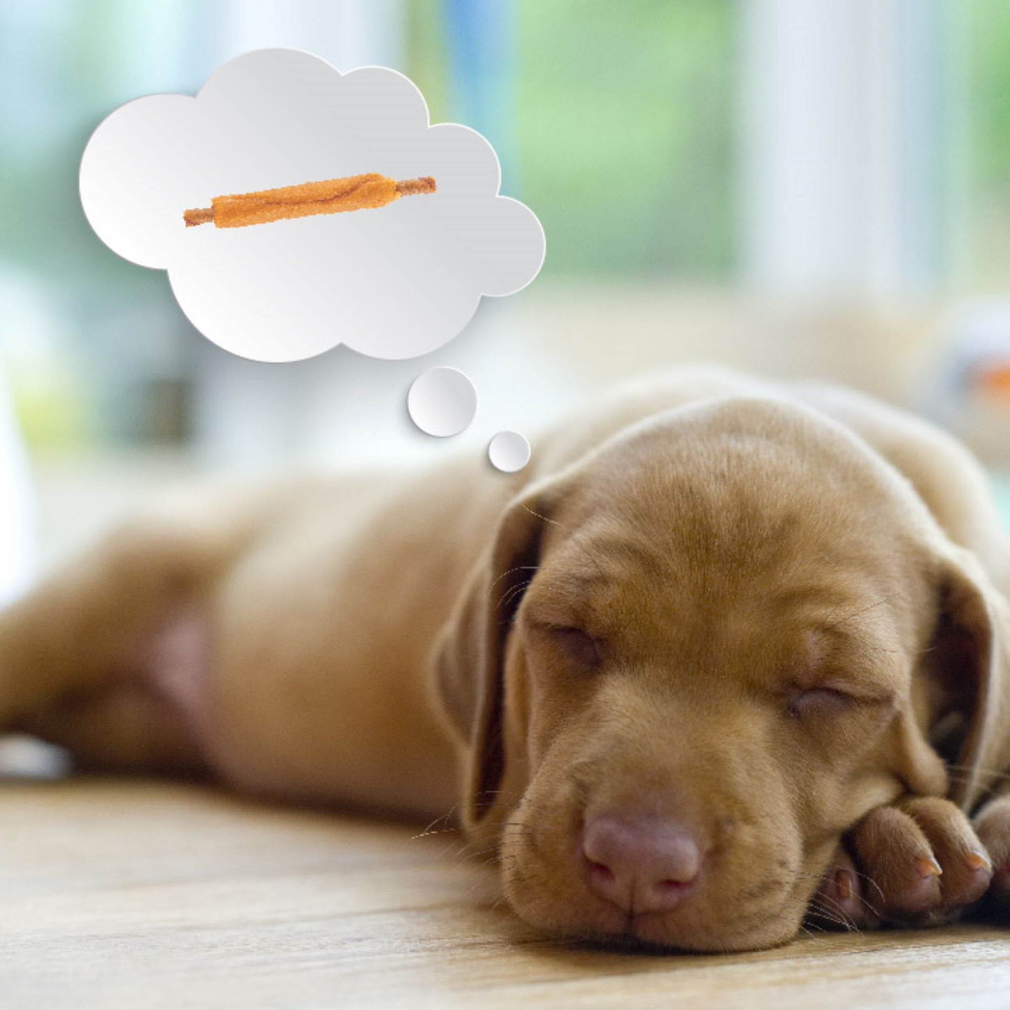 DreamBone Triple Flavor Ribs Rawhide-Free Chews for Dogs, Made with Real Peanut Butter, 10 Count