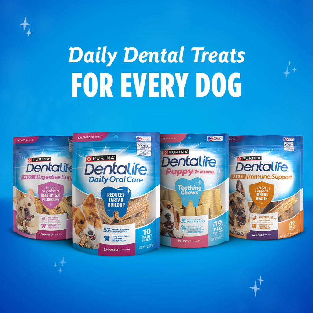 (4 pack) Purina DentaLife ActivFresh Mini Dog Treats Dental Chews with Chicken, 6.1 oz Pouch (4 Count)