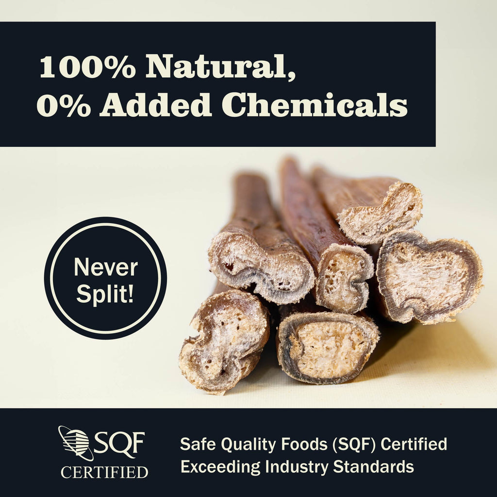 Redbarn All Natural 5-8” Bully Sticks for Small & Large Dogs - Healthy Long Lasting Chews Variety Party Pack - 100% Beef Single Ingredient Low Odor Rawhide Free Dental Treats Made in USA - 8 oz Bag