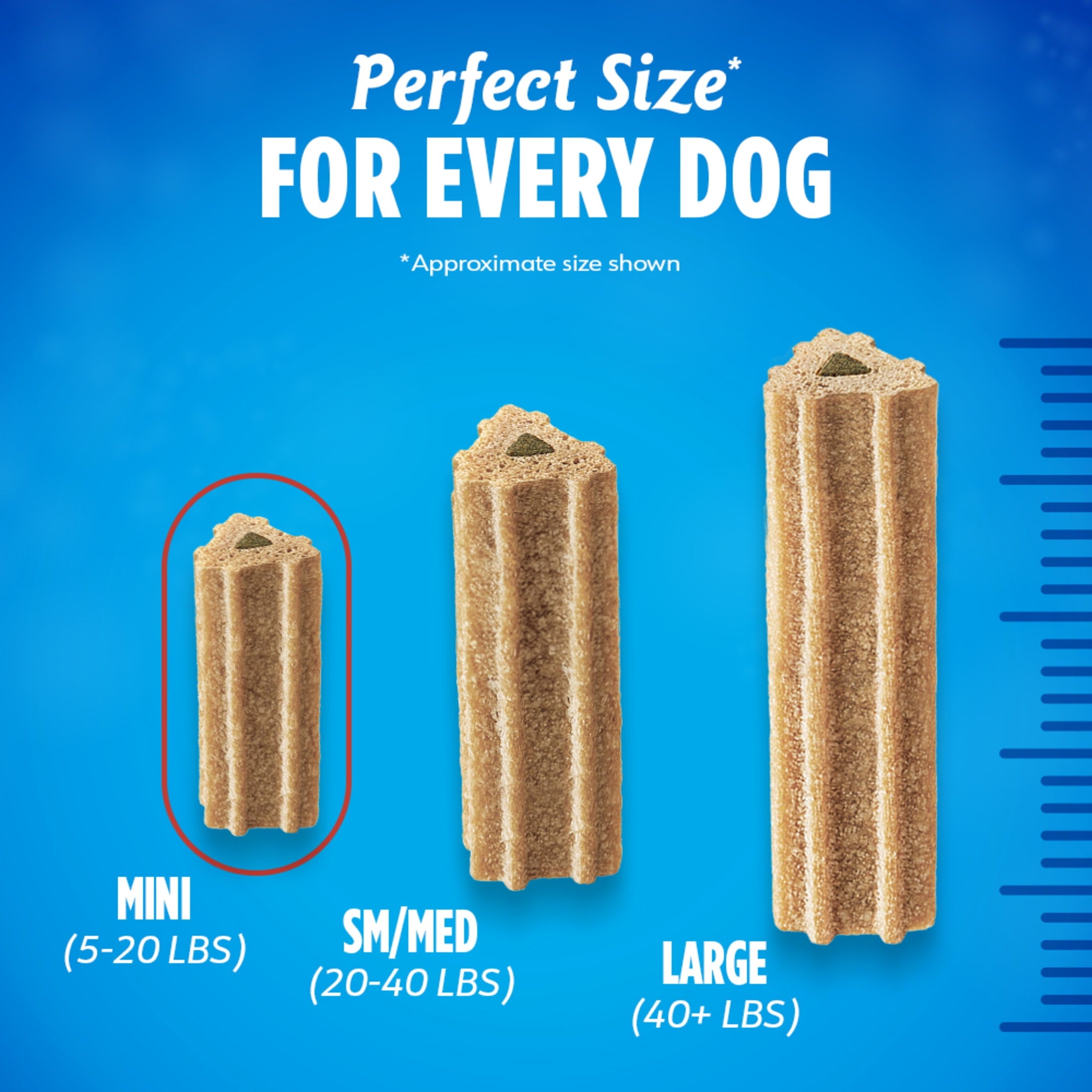 (4 pack) Purina DentaLife ActivFresh Mini Dog Treats Dental Chews with Chicken, 6.1 oz Pouch (4 Count)