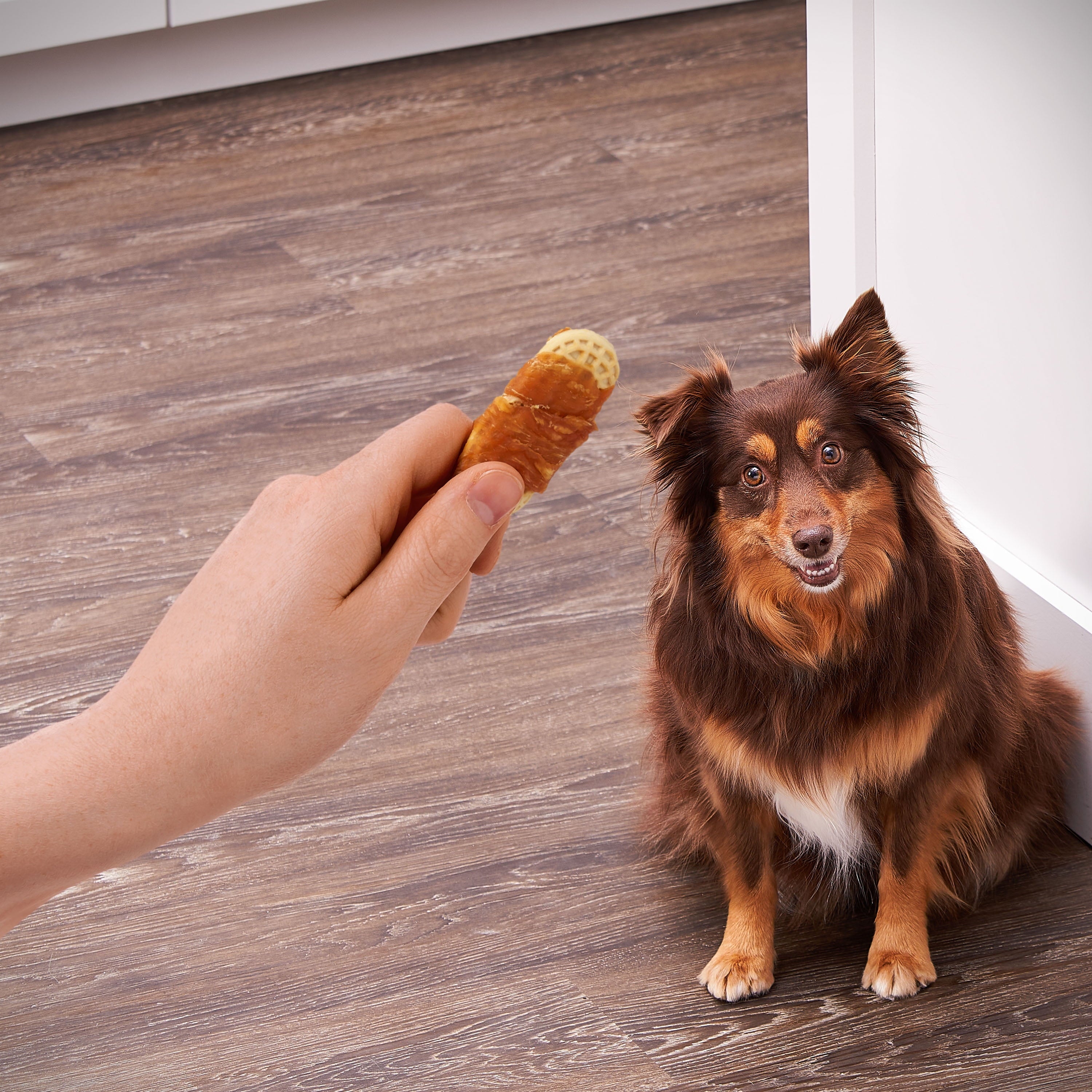 Golden Rewards Peanut Butter Flavor Biscuit Wrapped with Chicken Dry Biscuit Treats for Dogs, 32 oz