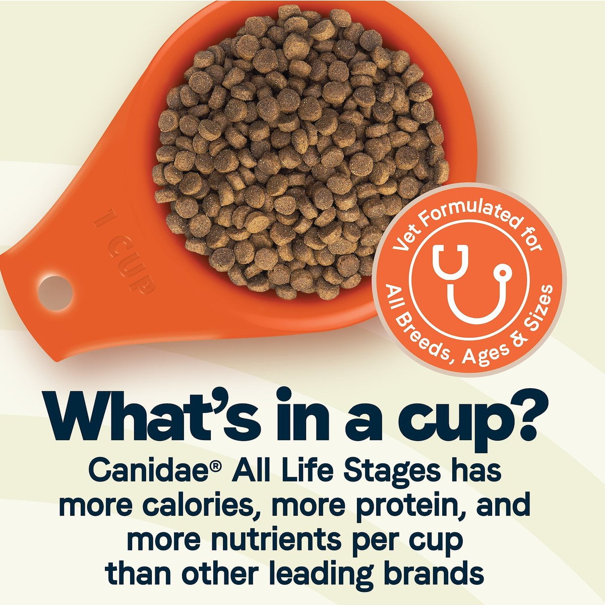 Canidae 103974 5 lbs All Life Stages Multi-Protein Recipe with Meat High Protein Premium Dry Dog Food - 6 Count