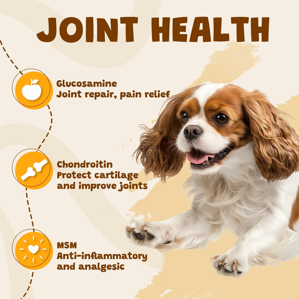 ASMPET Chicken Wrap Sticks, Healthy Dog Treats, Calcium Bone, Training Treats for All Dog Sizes, 10.6 oz