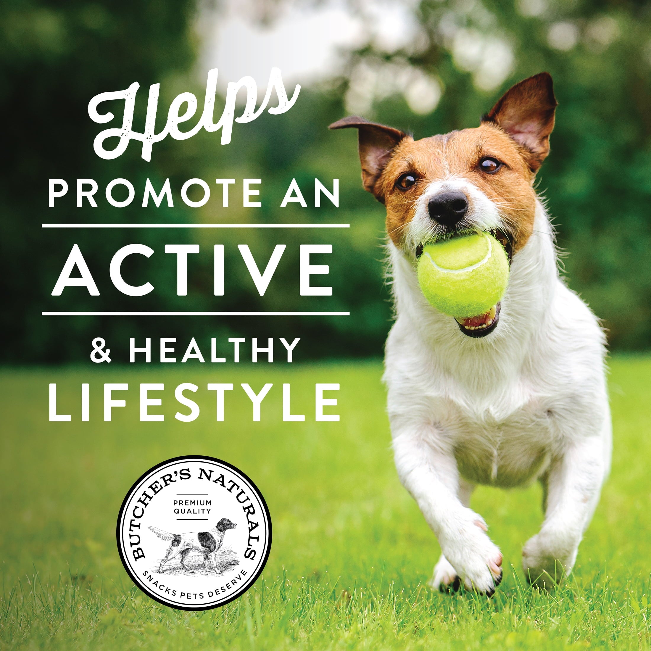 Butcher's Naturals Beef Flavor Natural Chews for Dogs, 8 oz Bag