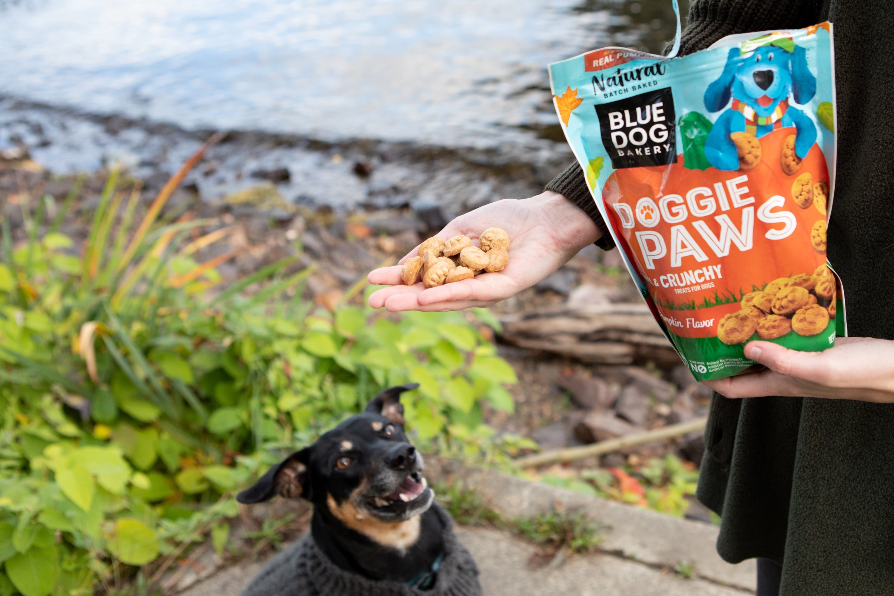 Blue Dog Bakery Pumpkin Doggie Paws 10oz