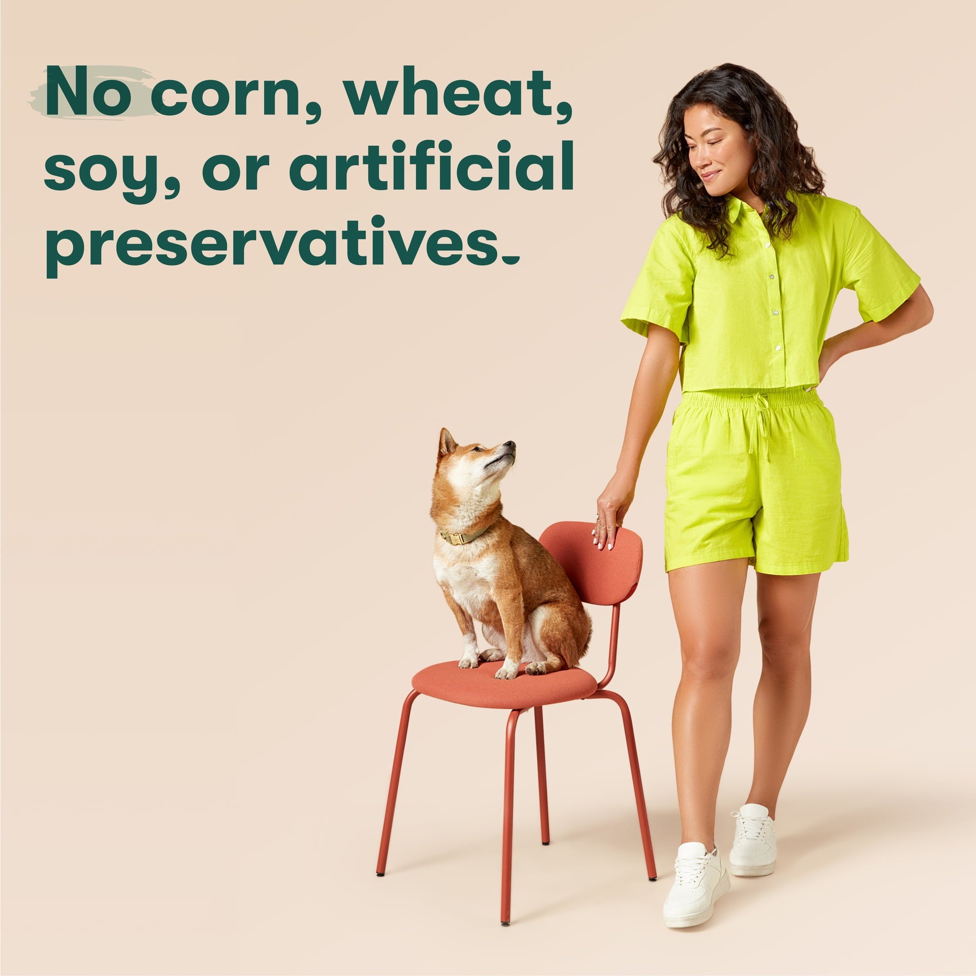 (2 pack) Jinx Crumbles Chicken Recipe Flavor-Boosting Natural Dog Food Topper, 4 oz Bag