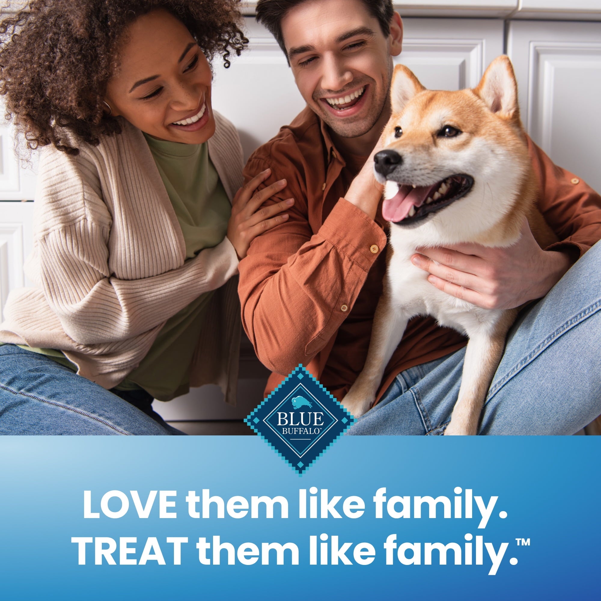 Blue Buffalo Dental Chews Small Natural Dog Treats, Chicken & Spearmint 11.3-oz Bag (28 Count)