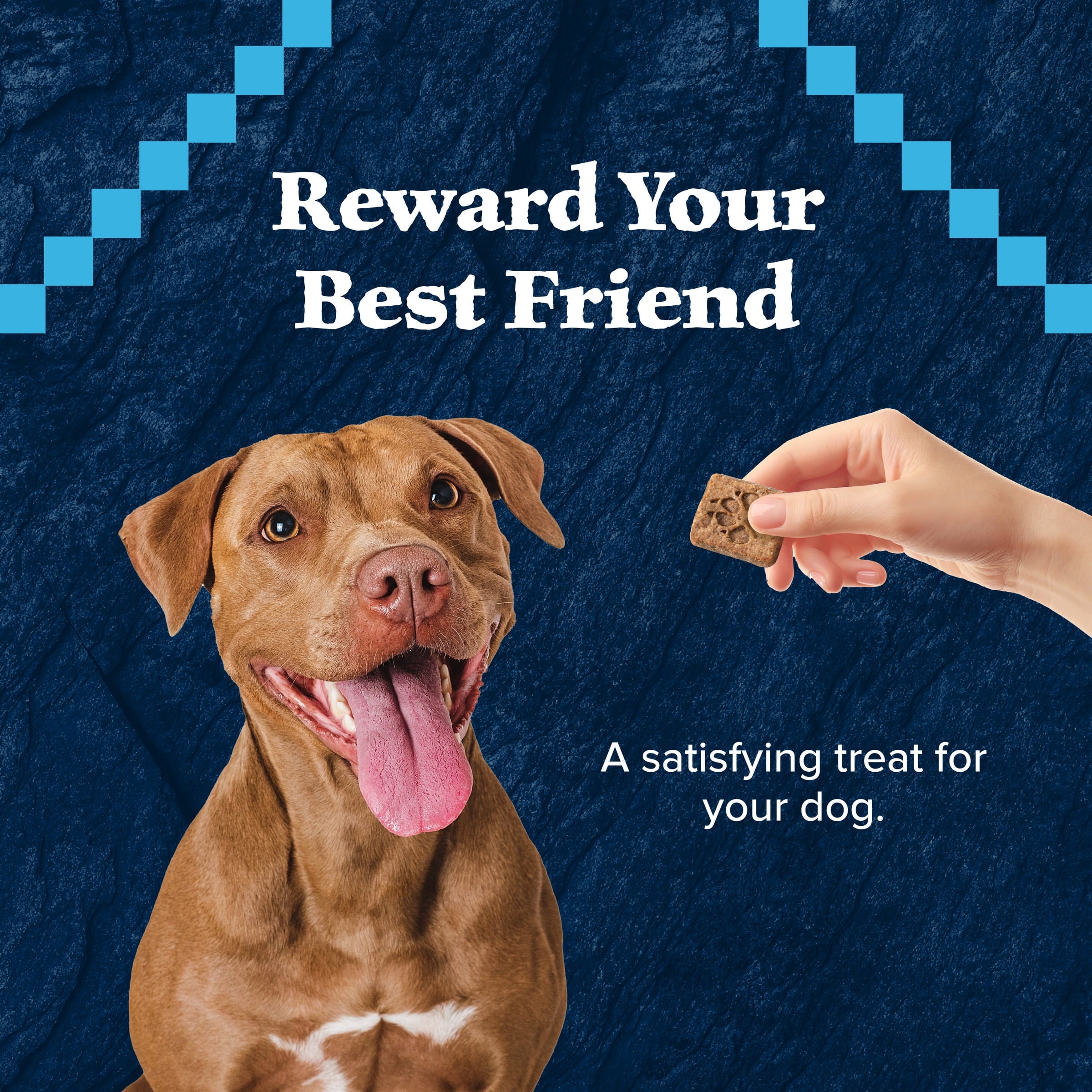 Blue Buffalo Wilderness Trail Treats Dog Biscuits Crunchy Dog Treats, Salmon, 10-oz Bag