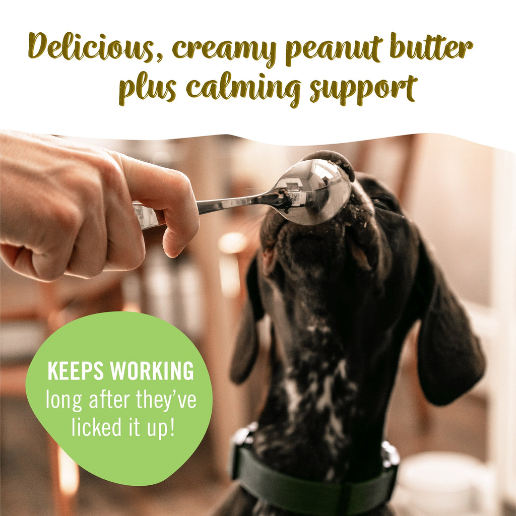 Pet Naturals Busybutter Calming Peanut Butter for Dogs, Stress and Anxiety Support, 1.5oz Pouch