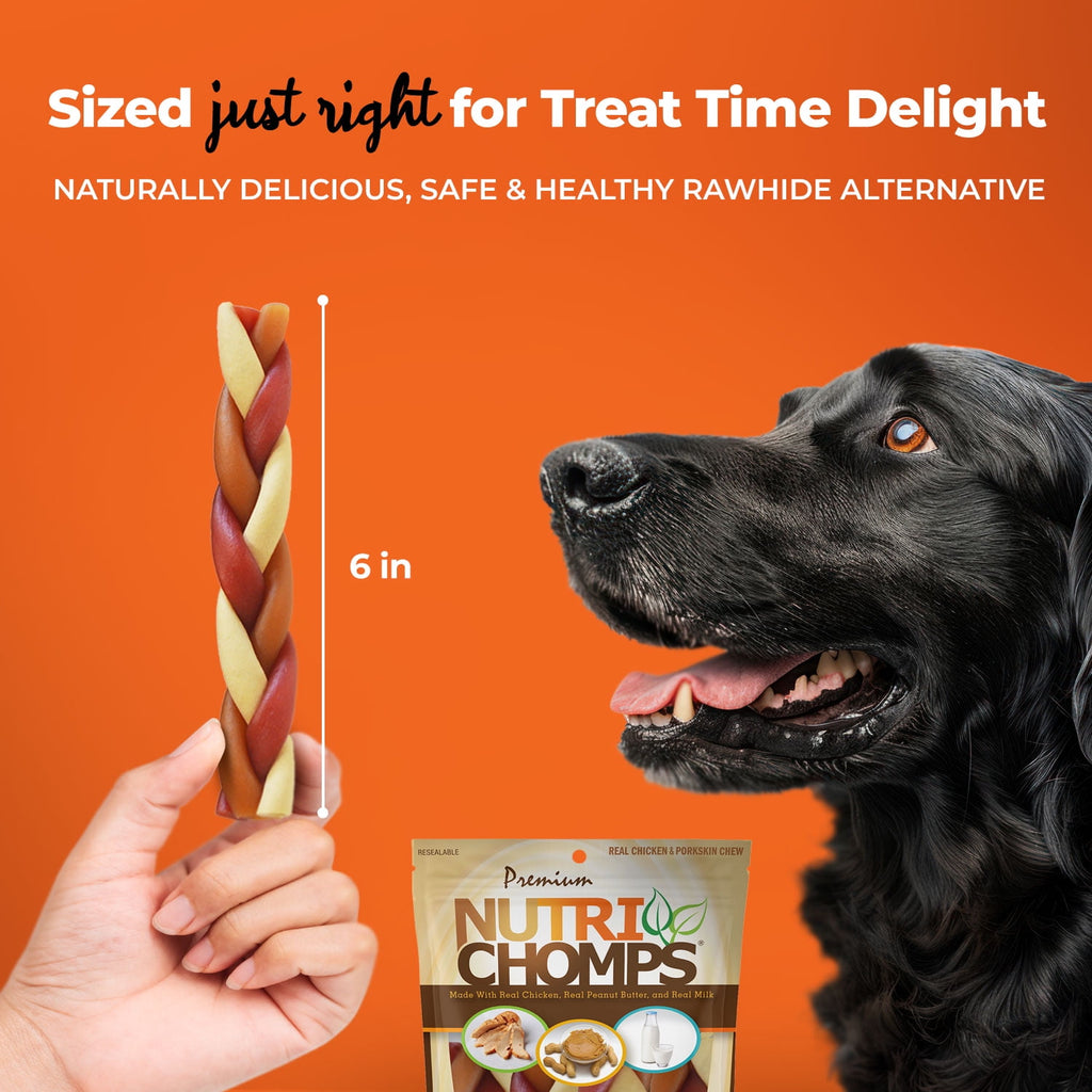 NutriChomps Rawhide-Free Braided Dog Treats, Mixed Flavor, 6", 4 Count