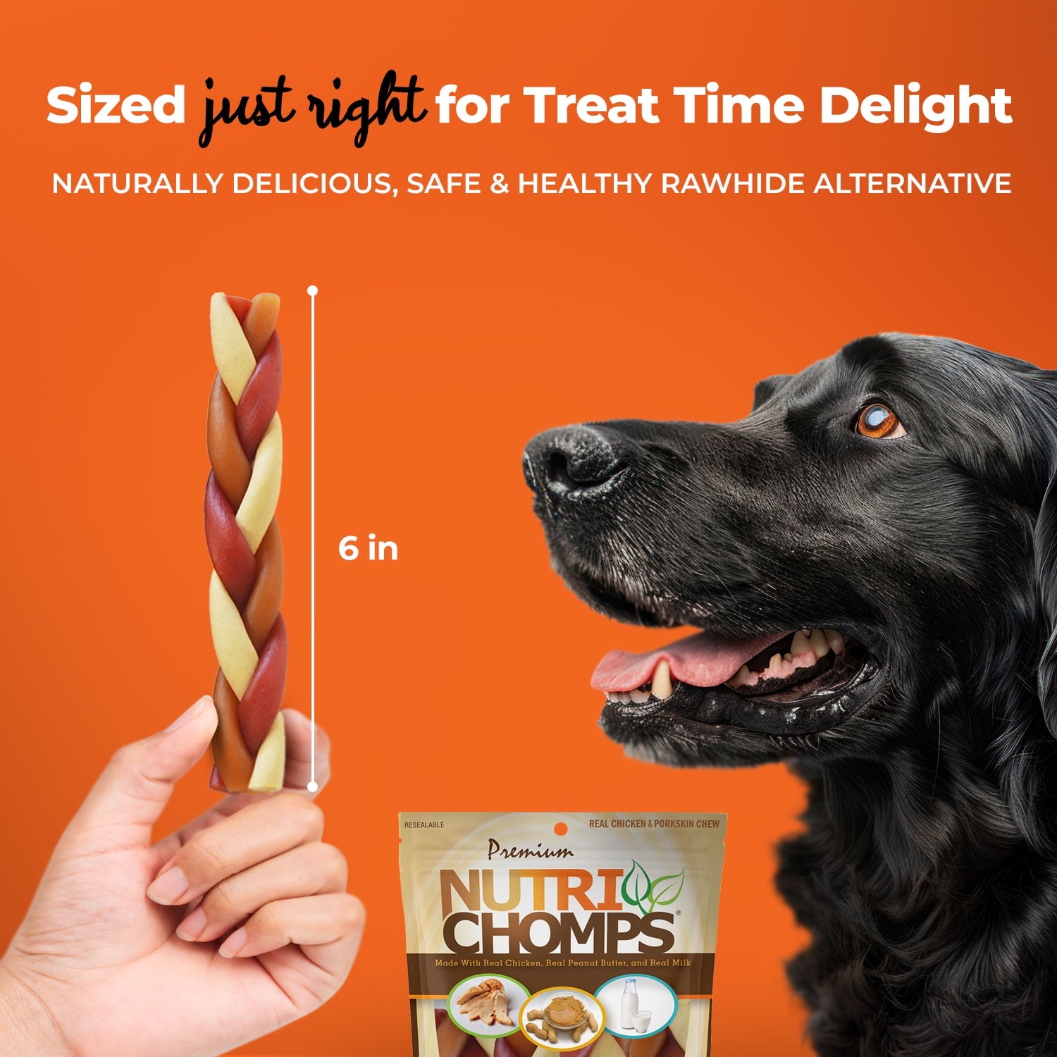 NutriChomps Rawhide-Free Braided Dog Treats, Mixed Flavor, 6", 4 Count