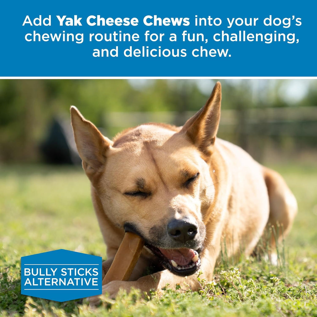 Best Bully Sticks Himalayan Yak Cheese for Dogs, Large 3 Pack - Natural Yak Chews for Dogs - Lactose Free Odor Free - Long Lasting Dog Chews