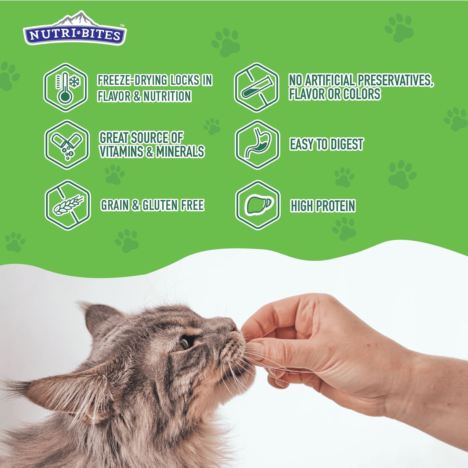 NutriBites Freeze Dried Beef Liver Dog & Cat Treats | Healthy Pet Training Treats or Food Topper | All Natural, Single Ingredient, High Protein